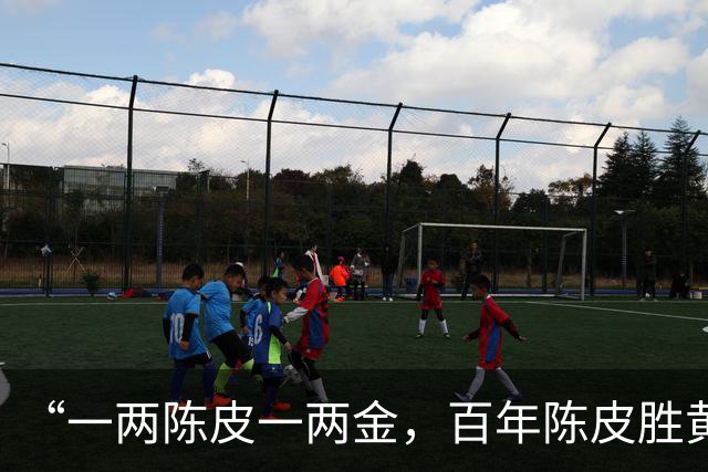 “一两陈皮一两金，百年陈皮胜黄金”，湿气重、脾胃差、失眠，去吃它