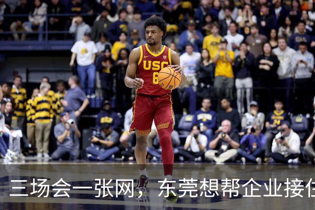 三场会一张网，东莞想帮企业接住什么