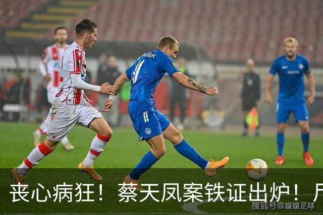 丧心病狂！蔡天凤案铁证出炉！尸体装俩箱子，躯干双手至今无踪影