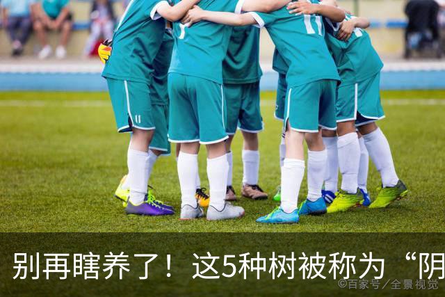 别再瞎养了！这5种树被称为“阴树”，再喜欢也别搬进家，看完赶紧搬出去
