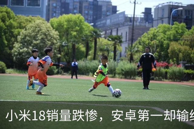 小米18销量跌惨，安卓第一却输给自家历史，这防窥屏真劝退用户了
