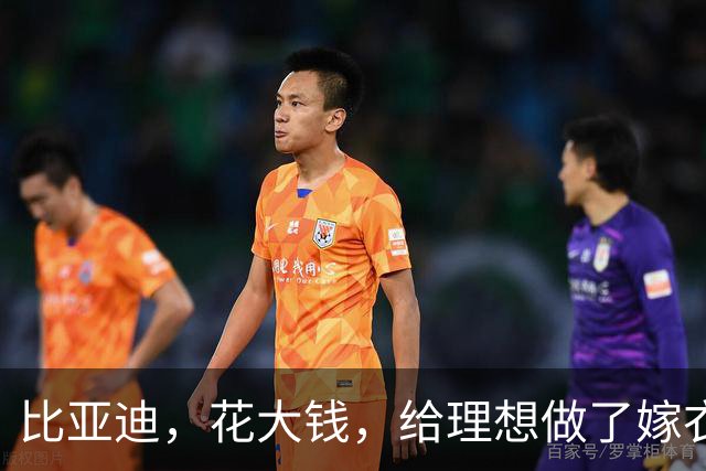 比亚迪，花大钱，给理想做了嫁衣