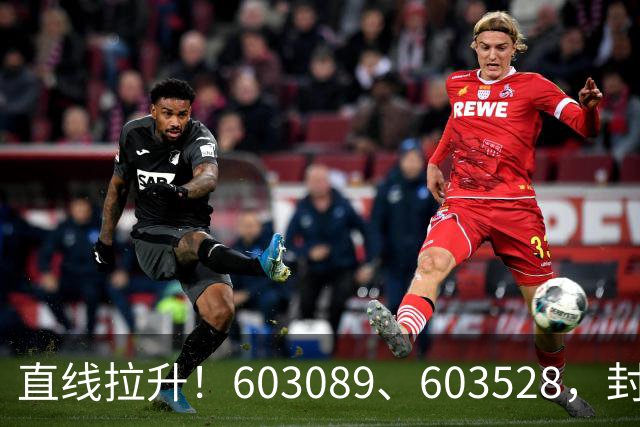 直线拉升！603089、603528，封涨停！