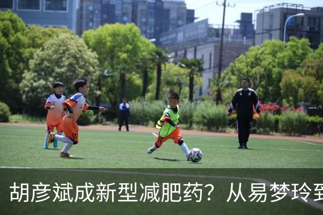 胡彦斌成新型减肥药？从易梦玲到前几任，分手后都像被抽干精气神