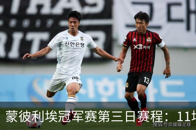 蒙彼利埃冠军赛第三日赛程：11场比赛，国乒参与4场，向鹏VS奥恰