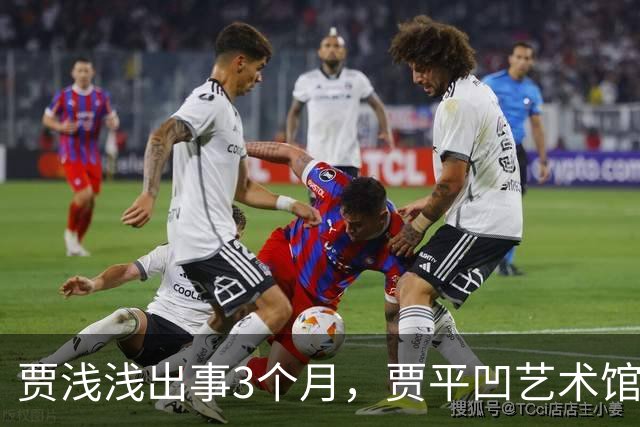 贾浅浅出事3个月，贾平凹艺术馆被法拍，建馆8000万他没出一分钱