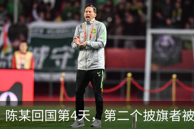 陈某回国第4天，第二个披旗者被揪了出来，现形后想销号跑路