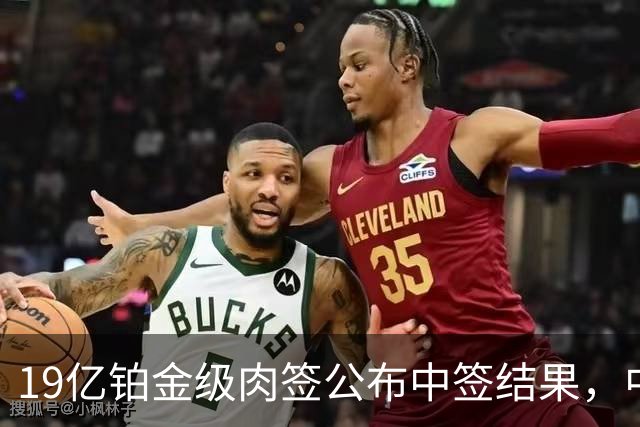 19亿铂金级肉签公布中签结果，中签号码48.78万个，股民的雨露均沾奖！