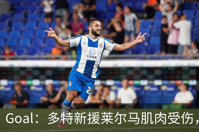 Goal：多特新援莱尔马肌肉受伤，复出时间未定