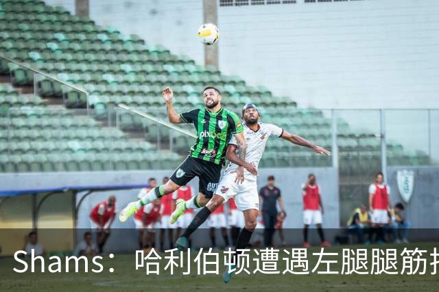 Shams：哈利伯顿遭遇左腿腿筋拉伤 将至少缺席两周